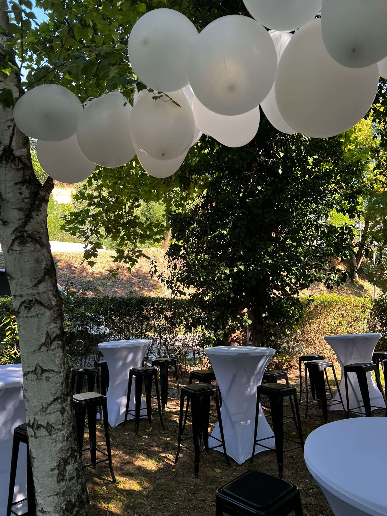 PHOTO-2025-08-02-08-55-22