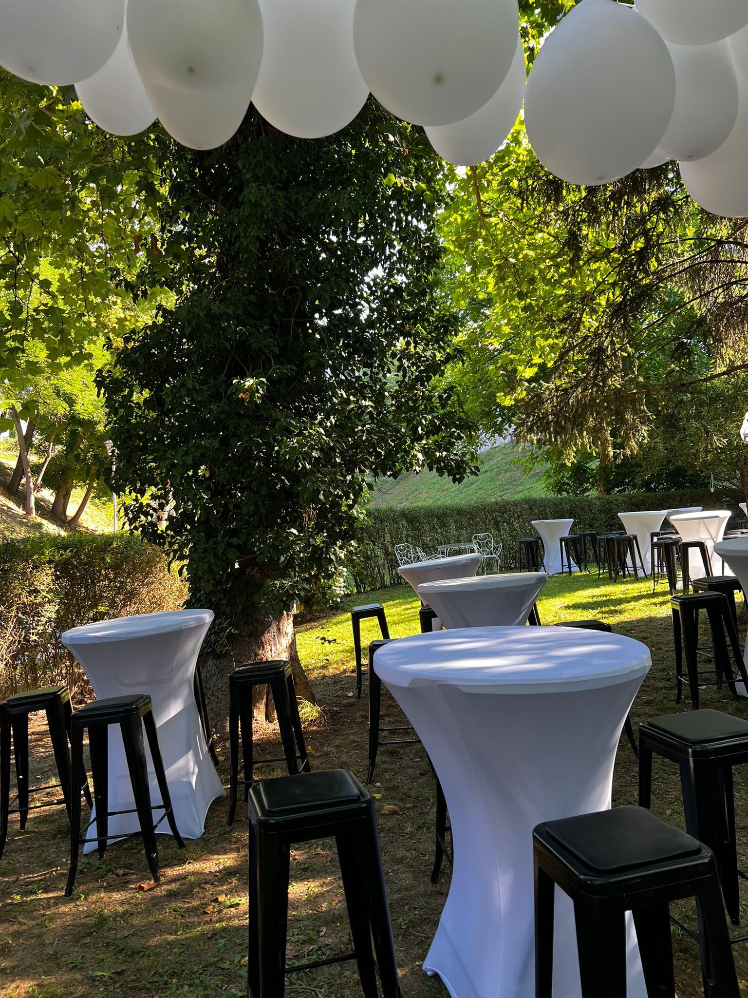 PHOTO-2025-08-02-08-55-32 2